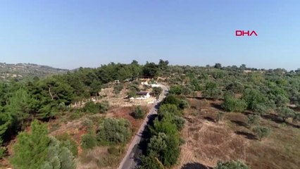 İzmir'in akciğerleri, rantçılar tarafından yok ediliyor