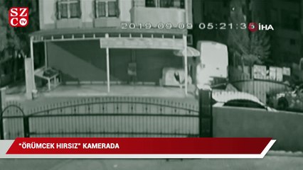 "Örümcek hırsız" kamerada