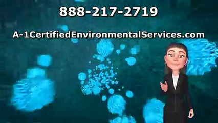 Mold Testing Pasadena