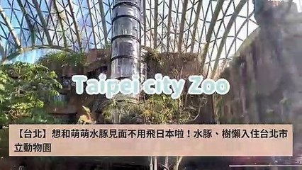 Popdaily-PopdailyTourFeedParser-2019/10/15-15:55