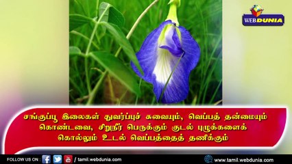 சங்குப்பூவின் அரிய மருத்துவ குணங்கள்...!