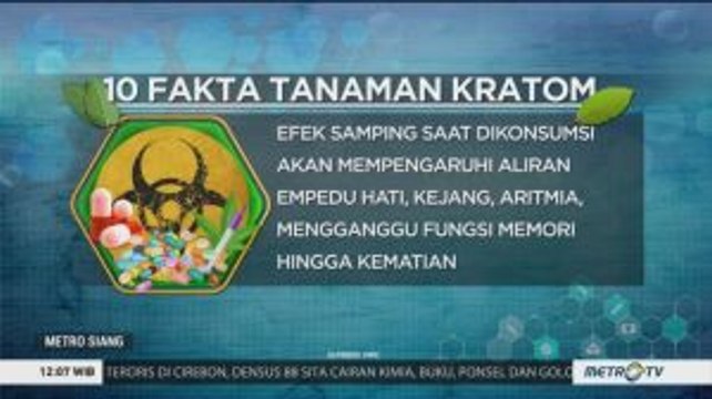 10 Fakta Tanaman Kratom