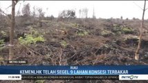 KLKH Telah Segel 9 Lahan Konsesi Terbakar di Riau