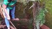 Woman risks life to rescue deadly cobra from well in southern India