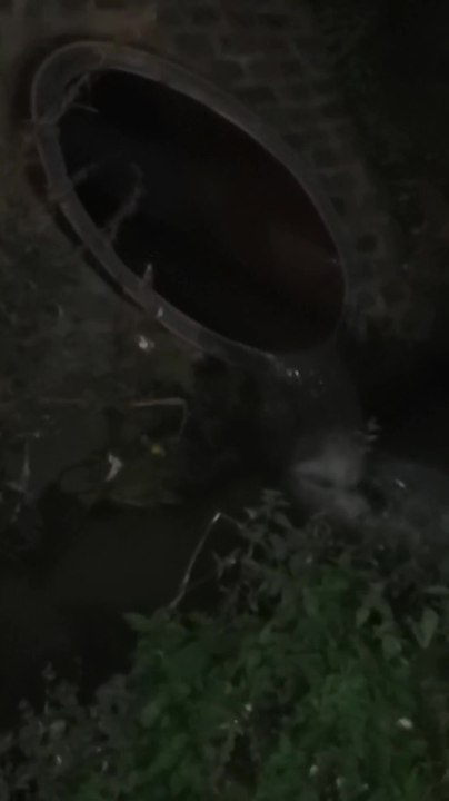 Frameries: des activités nocturnes sur le site de Clarebout Potatoes