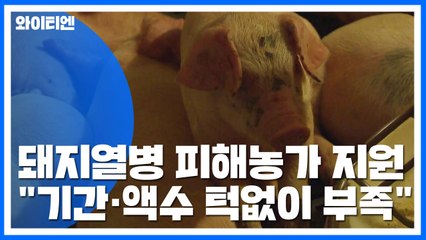 생계자금 지원..."기간·액수 턱없이 부족" / YTN