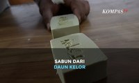 Banyak Manfaat untuk Kulit! Ini Dia Sabun dari Daun Kelor