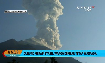 Pasca-Letusan Awan Panas, Merapi Terpantau Stabil