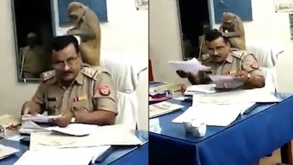 #ViralVideo : నువ్వు కేసులు చూస్కో.. నేను పేలు చూస్తా.!! || Oneindia Telugu