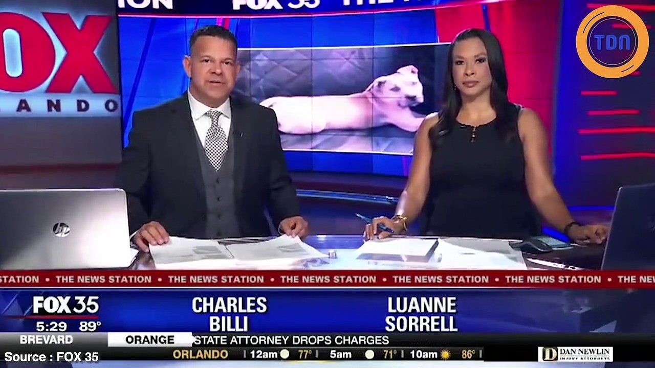 Un chiot de 8 mois perd la vie en protégeant les deux enfants de ses maitres des morsures d’un serpent