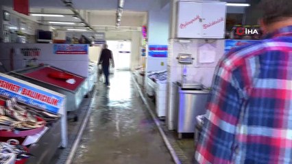 Palamut son 10 yılın en kötü sezonunu yaşıyor