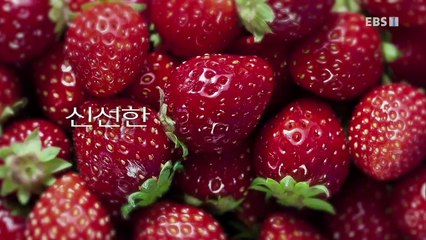 EBS 다큐프라임 - Docuprime_진정성 시대 2부- 진정성 마케팅_#001
