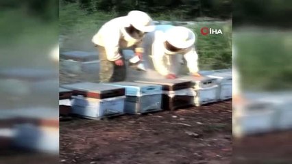 Arı kovanında 120 milyon liralık eroin sevkiyatı şüphelileri adliyeye sevk edildi