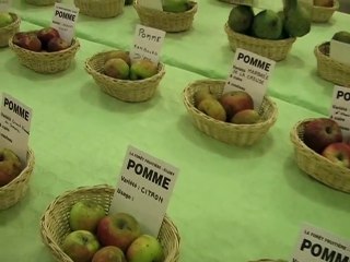 Das Sternzeichen Jungfrau in Natur- und Menschenwelten