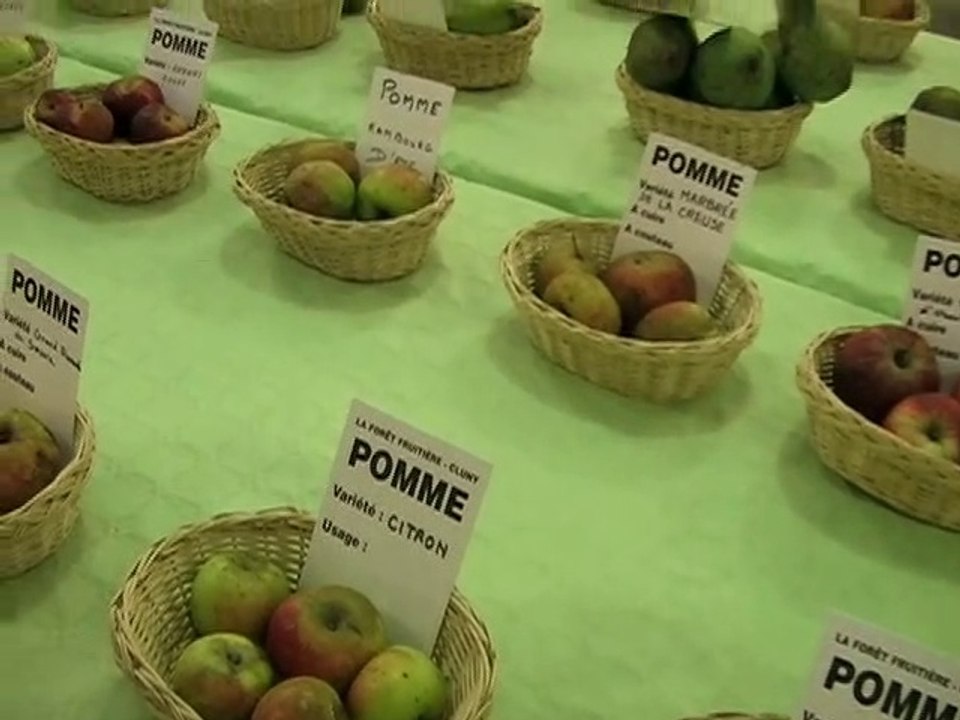 Das Sternzeichen Jungfrau in Natur- und Menschenwelten