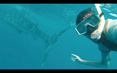 KÖPEK BALIKLARIYLA YÜZDÜM (HEYECANDAN ÖLÜYORDUM)