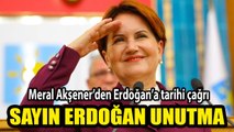 Meral Akşener'den Erdoğan'a tarihi çağrı (İYİ Parti TBMM Grup Toplantısı / 15 Ekim)