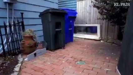 SMARTCAN- el cubo que saca la basura solo