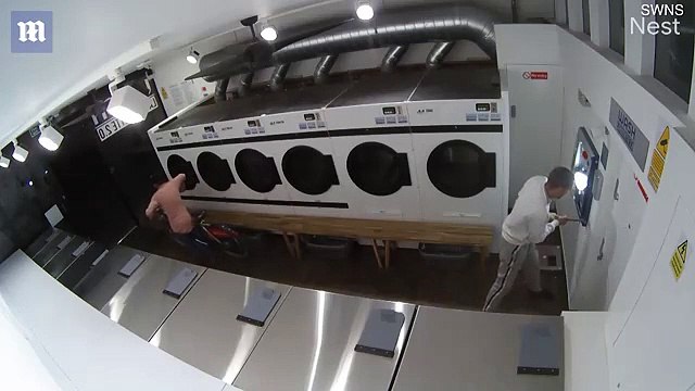 CCTV catches thieves smashing cash machine at a London launderette