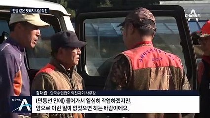 연천 멧돼지서 또 돼지열병 바이러스…‘뒷북 사냥’ 개시?