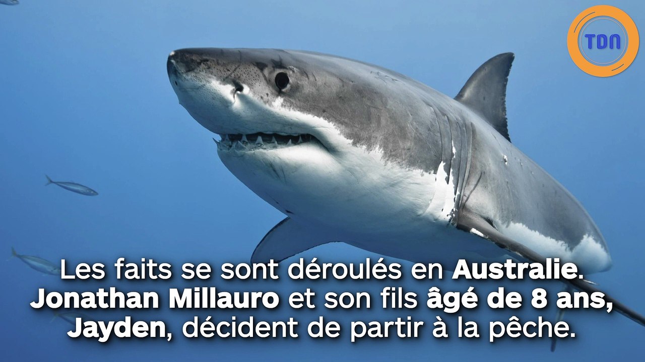 Un enfant de 8 ans pêche  un requin-tigre de 300 kg