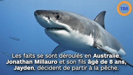 Un enfant de 8 ans pêche  un requin-tigre de 300 kg