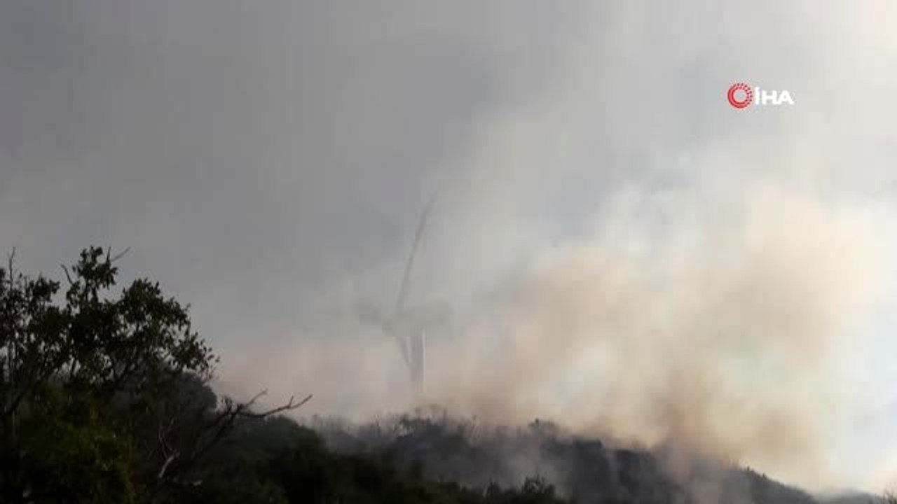 Bitki örtüsü yangını korkuttu