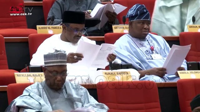 What Ike Ekweremadu said about 2020 budget