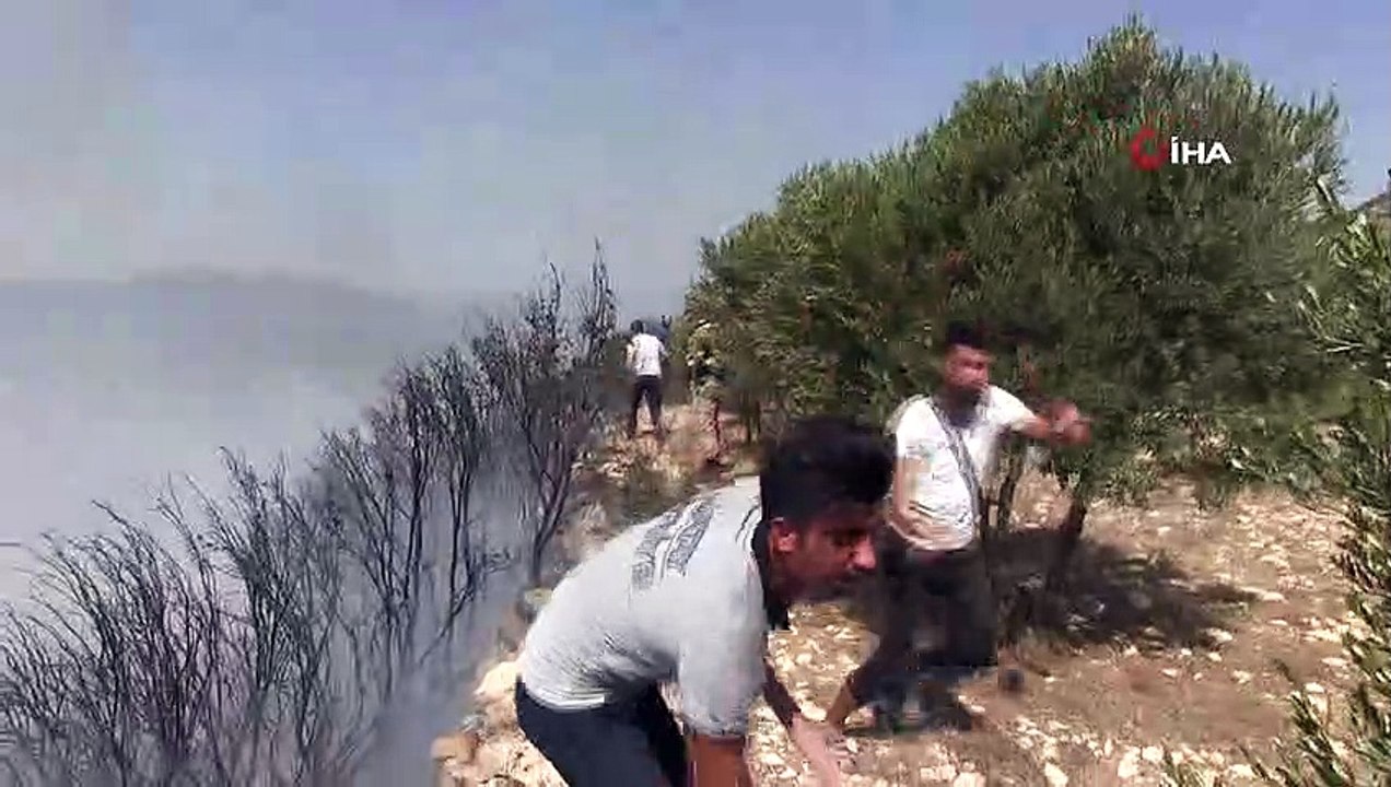 Bitki örtüsü yangını korkuttu