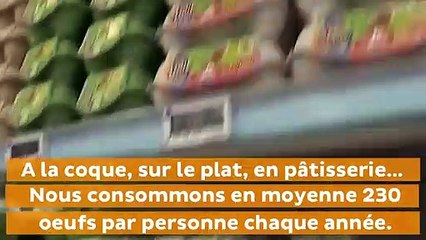 Voici la vraie signification du code imprimé sur les œufs