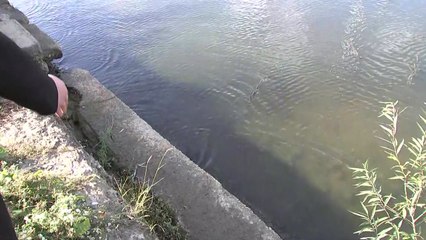 한강 둔치에서 영아 시신 발견...수사 착수 / YTN