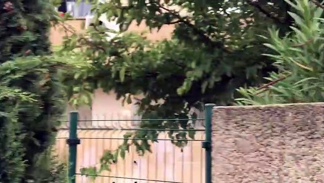 Tornade à Arles : d’impressionnants dégâts en vidéo