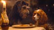 Lady and the Tramp on Disney+ - Official Trailer 2