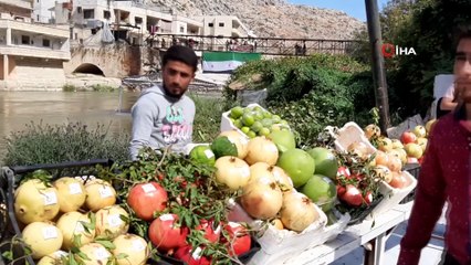 - Nar Festivalinde Suriyelilerden Dünyaya Barış Mesajı