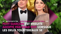 Angelina Jolie : Combien la star a d’enfants avec Brad Pitt ?
