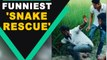 Man pulls out 'snake' from the field with a dramatic twist, video goes viral | Oneindia News