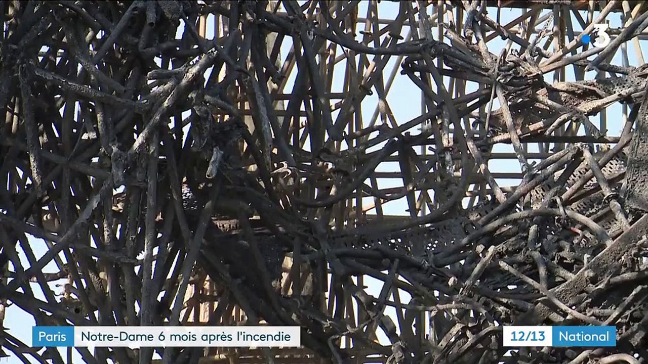 Notre-Dame de Paris : le bilan six mois après l'incendie