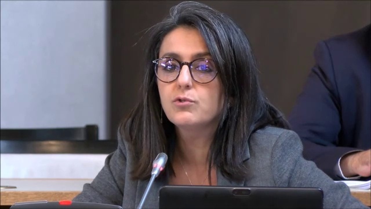 Dénia HAZHAZ. Orientations et dépenses de fonctionnement 2020 des collèges. 14 octobre 2019