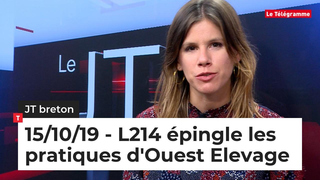 JT Breton du mardi 15 octobre 2019. L214 épingle les pratiques d'Ouest Elevage