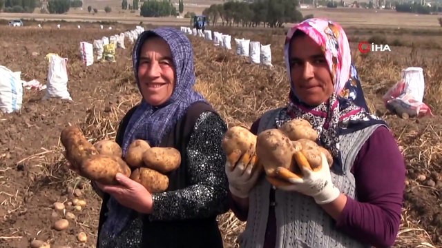Niğde’de 2 Çeşit Yerli Patates Hasadı Yapıldı