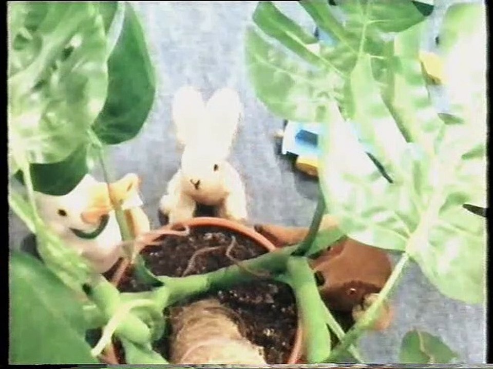 Jane Hissey's Old Bear And Friends (1993 UK VHS)