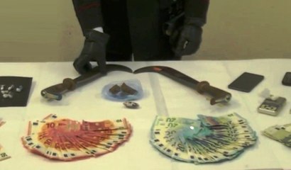 Garbagnate (MI) - Parco delle Groane, arrestato spacciatore in carrozzella (15.10.19)