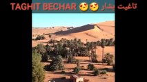 désert sahara d’Algérie bechar صحراء الجزائر بشار تاغيت ولا اروع