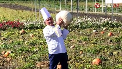 Orsara di Puglia, Appuntamento con la Daunia di Peppe Zullo