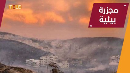عشرات الحرائق في سوريا ولبنان تلتهم مئات الهكتارات من الغابات والأراضي الزراعية