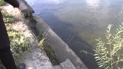 한강 둔치서 남자 영아 시신 발견...수사 착수 / YTN