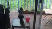 Quand un écureuil vient regarder à la fenêtre : Zoo inversé