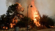 الحرائق تلتهم غابات واسعة بلبنان والحكومة تطلب عونا دوليا
