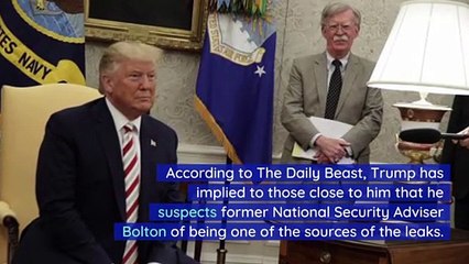 Trump Thinks John Bolton Is Behind Some Ukraine Leaks