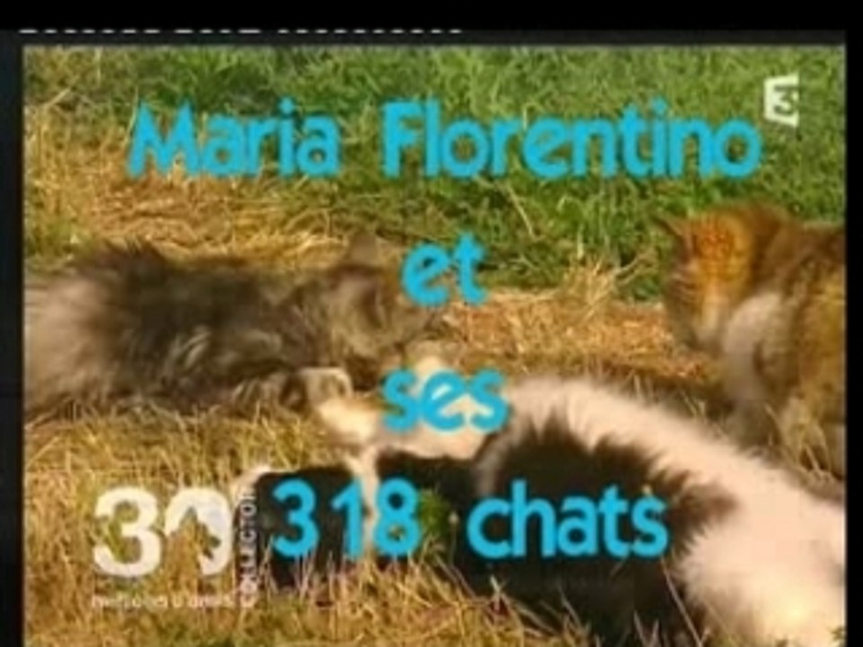 MARIA ET SES 318 CHATS AU REFUGE